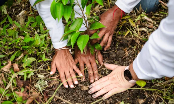 Diversidad e inclusión