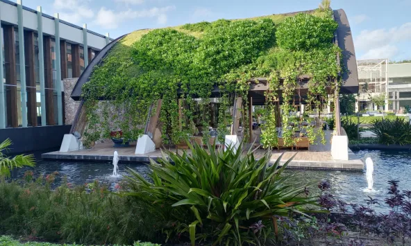 El Catalonia Grand Costa Mujeres obtiene la certificación Leed por su liderazgo en eficiencia energética y diseño sostenible