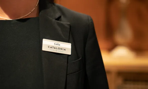 Desarrollo de talento